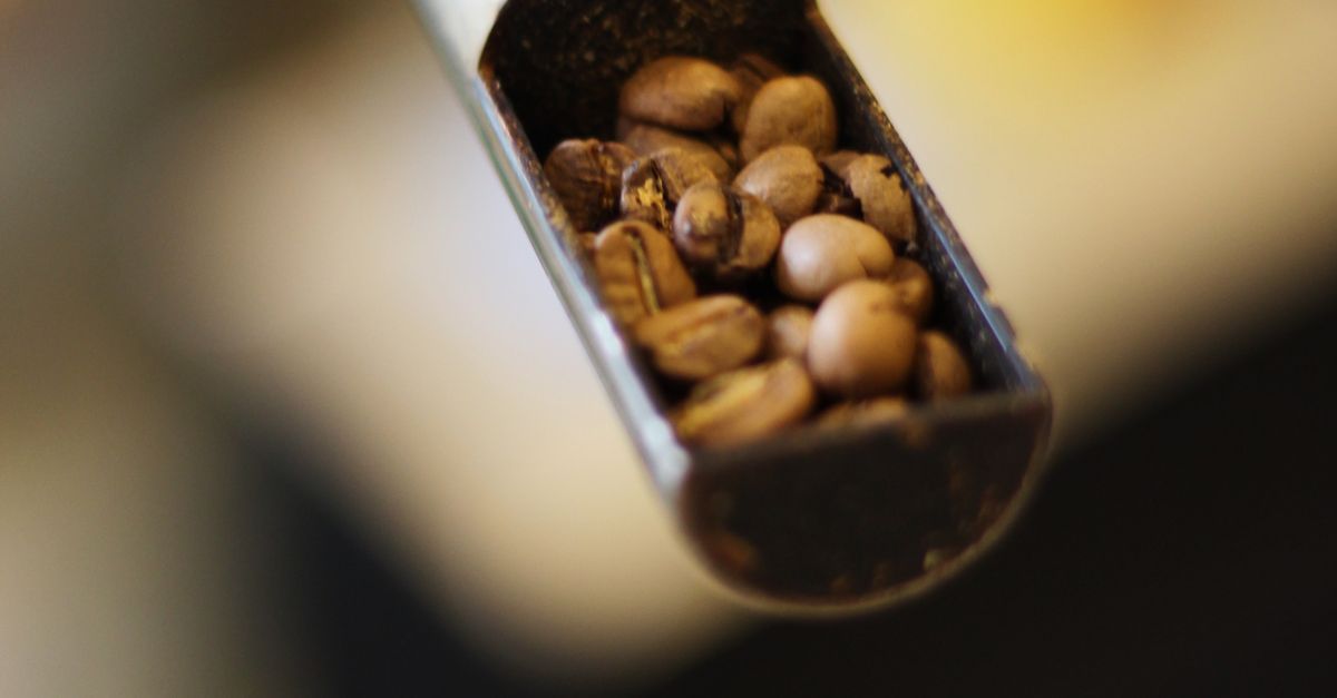 The Best Coffee Machine Setup for Switching Between Regular and Decaf Beans