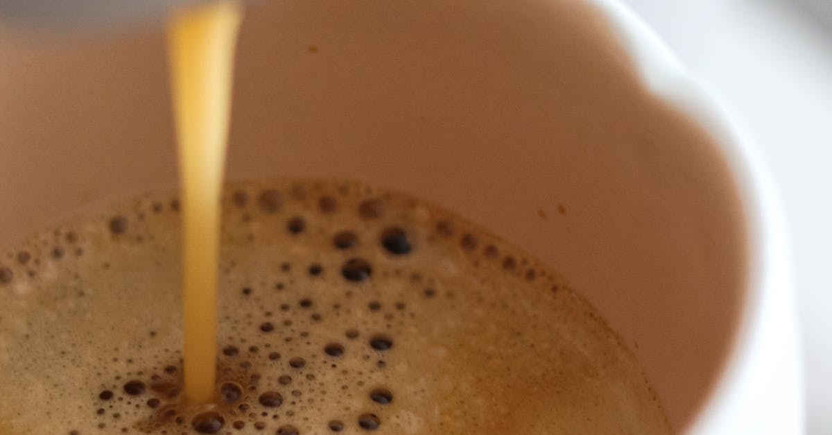 How to Perfect Your Espresso Routine: Why Every Home Barista Needs the Breville Knock Box