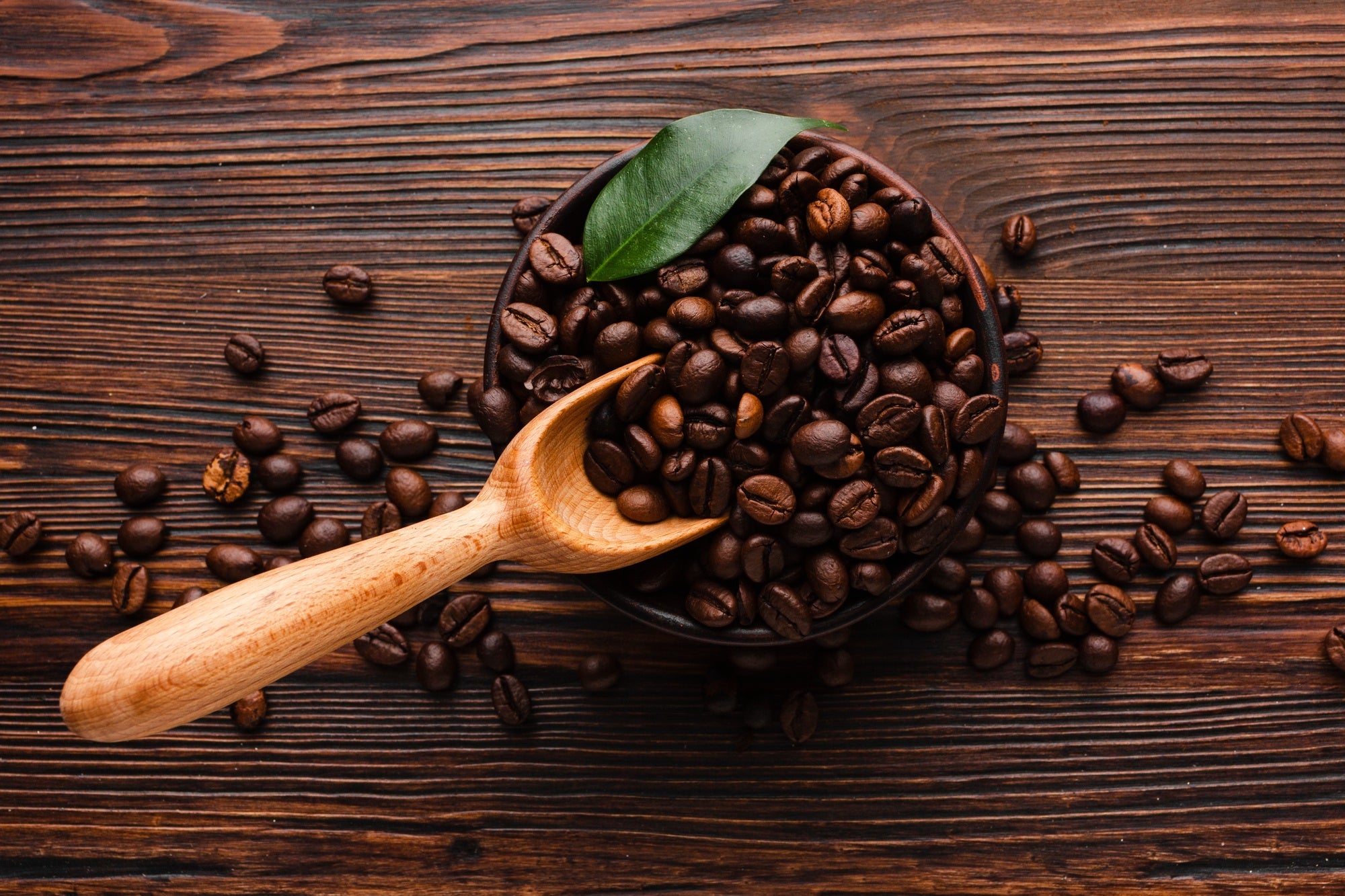 Trucillo Coffee Beans