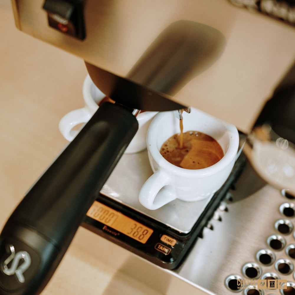 Rancilio Silvia M V6 Espresso Machine - Stainless Steel